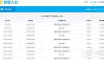 职工养老保险查询网,职工养老保险查询网操作指南及注意事项”