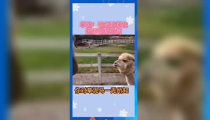 娱乐吃瓜钓鱼,钓鱼背后的趣味人生