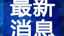 娱乐吃瓜猫咪视频大全最新,最新猫咪吃瓜视频大盘点