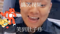 视频搞笑,视频搞笑盛宴，欢乐无限