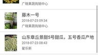 农产品信息网,农产品信息网的构建与发展概述