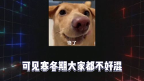 娱乐时间到吃瓜,揭秘娱乐圈那些事儿
